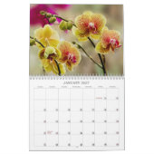 Tropische Blüten Kalender (Jan 2027)