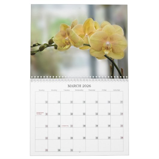 Tropische Blüten Kalender (Mär 2026)