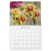Tropische Blüten Kalender (Jan 2026)