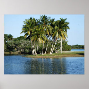 Tropische botanische Gärten Fairchild Poster