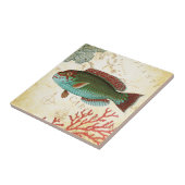 Tropische bunte karibische Fische und Koralle Fliese (Seite)