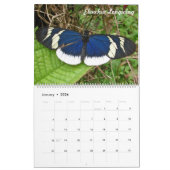 Tropische Butteflies Kolumbiens Kalender (Jan 2026)