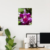 Tropische Cattleya-Orchid-Blume Poster (Heimbüro)