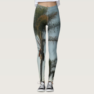 Tropische Dattelpalmen gegen den Himmel Leggings
