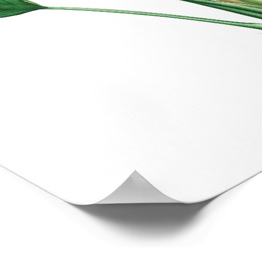 Tropische Dekoration in "Bird-of-Paradise" #4 (Ecke)