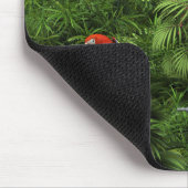 Tropische Dschungel-Papageien KRW Mousepad (Ecke)