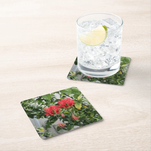 Tropische eingesäumte korallenrote Hibiskus-Blume Rechteckiger Pappuntersetzer (Vor Ort)