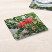 Tropische eingesäumte korallenrote Hibiskus-Blume Rechteckiger Pappuntersetzer (angewinkelt)