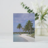Tropische Einstellungen Postkarte (Stehend Vorderseite)