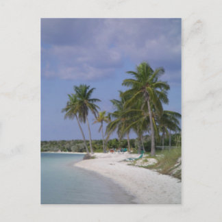 Tropische Einstellungen Postkarte