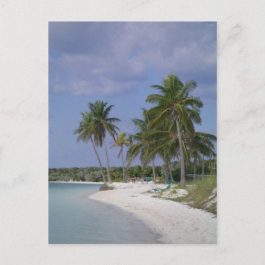 Tropische Einstellungen Postkarte (Vorderseite)