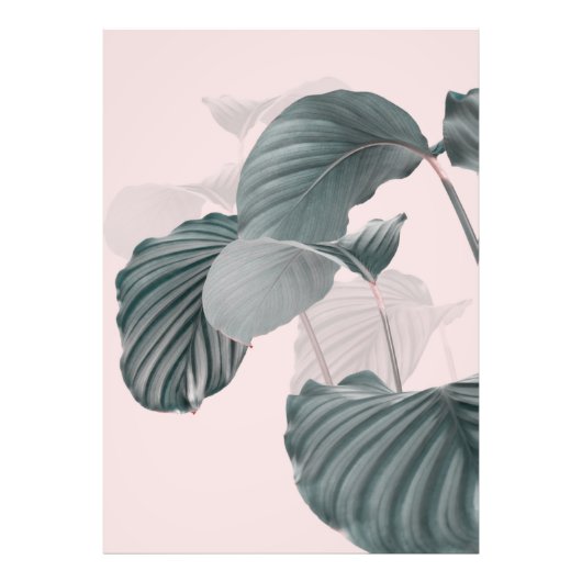 Tropische Eleganz in Pastel Fotodruck (Vorne)