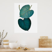 Tropische exotische Philodendron-Blätter Poster (Küche)