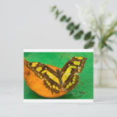 Tropische Farbe Postkarte (Stehend Vorderseite)