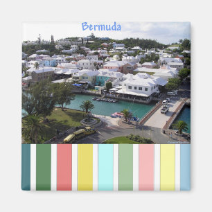 Tropische Farben auf Bermuda Magnet