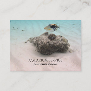 Tropische Fisch-Aquarium-Service-Wartung Visitenkarte