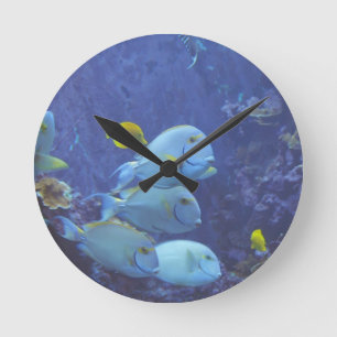 Tropische Fisch-Uhr Runde Wanduhr