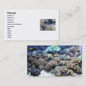 Tropische Fisch-Visitenkarten Visitenkarte (Vorne/Hinten)