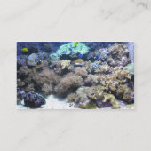Tropische Fisch-Visitenkarten Visitenkarte (Rückseite)