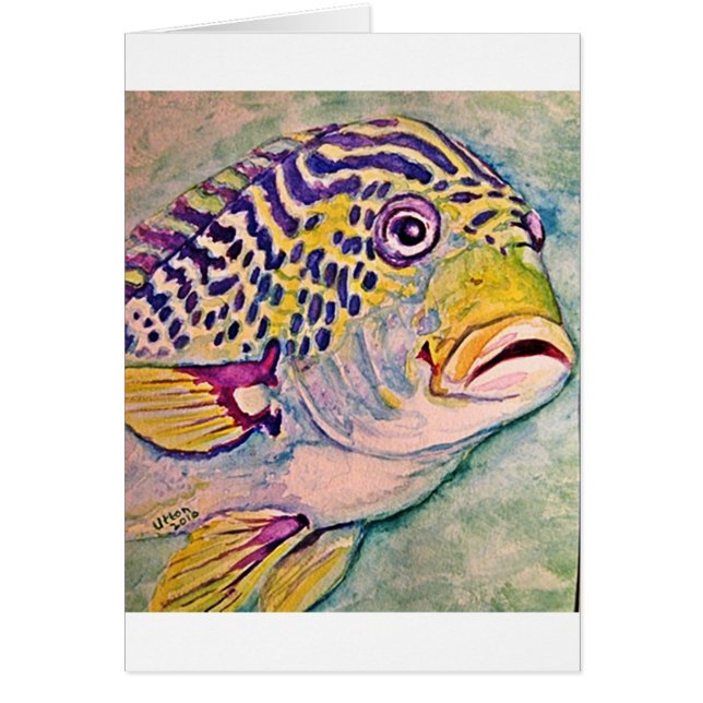 tropische Fische (Vorne)