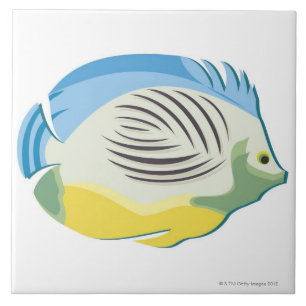 Tropische Fische 2 Fliese