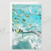 Tropische Fische Briefpapier (Vorne/Hinten)