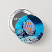 Tropische Fische Button (Vorne & Hinten)