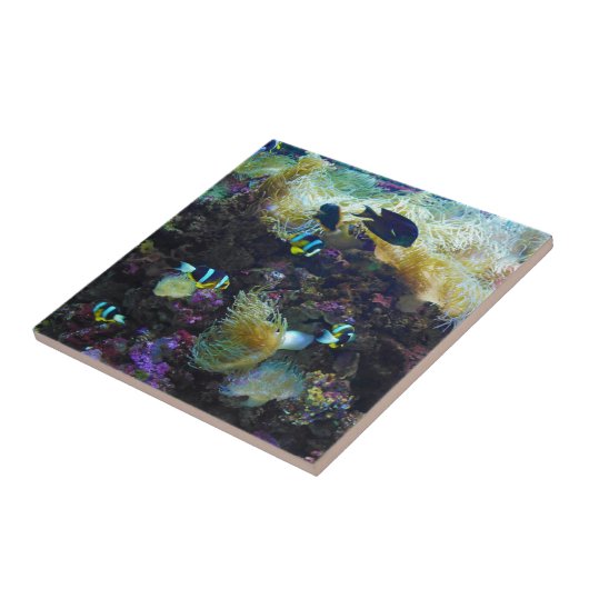 Tropische Fische Fliese (Seite)