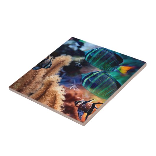 Tropische Fische Fliese (Seite)