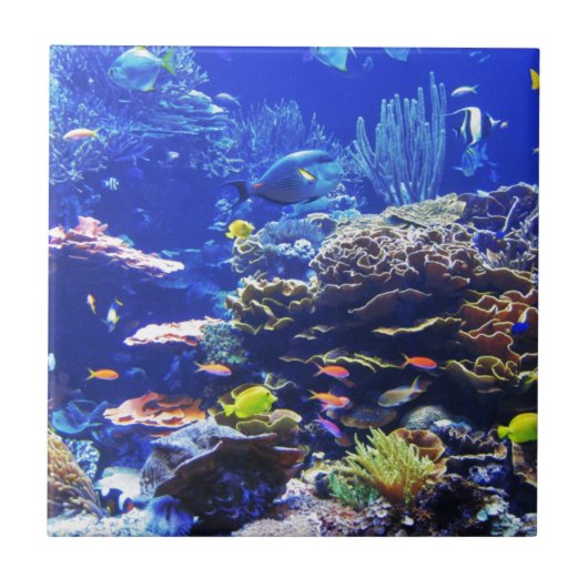 Tropische Fische Fliese (Vorderseite)