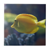 tropische Fische Fliese (Vorderseite)