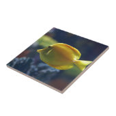 tropische Fische Fliese (Seite)