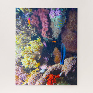 Tropische Fische in einem Aquarium. Puzzle