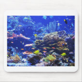 Tropische Fische Mousepad (Vorne)