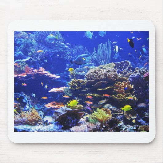 Tropische Fische Mousepad (Vorne)
