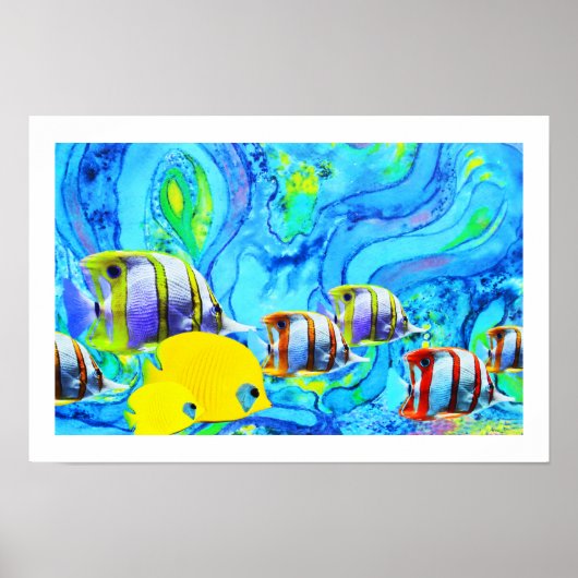 Tropische Fische Poster (Vorne)