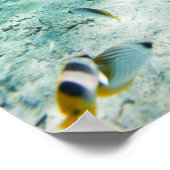 Tropische Fische Poster (Ecke)
