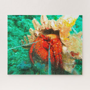 Tropische Fische Puzzle