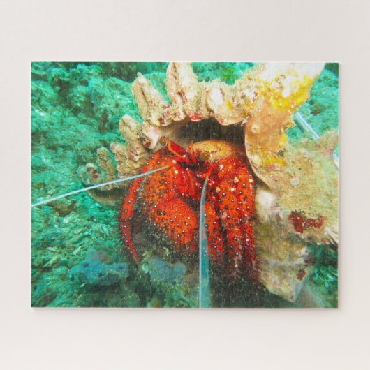 Tropische Fische Puzzle (Horizontal)