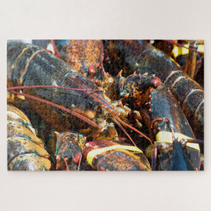 Tropische Fische Puzzle