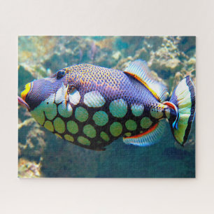 Tropische Fische Puzzle