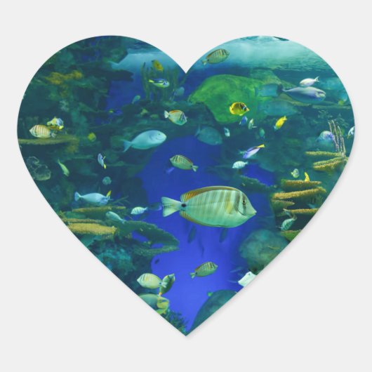 Tropische Fischkleber Herz-Aufkleber (Vorderseite)
