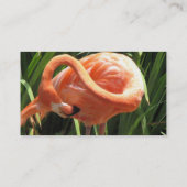 Tropische Flamingo-Visitenkarte Visitenkarte (Rückseite)