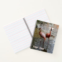 Tropische Flamingo-Vogelkruste. Textheft Notizblock