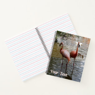 Tropische Flamingo-Vogelkruste. Textheft Notizblock