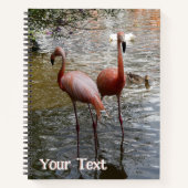 Tropische Flamingo-Vogelkruste. Textheft Notizblock (Vorderseite)