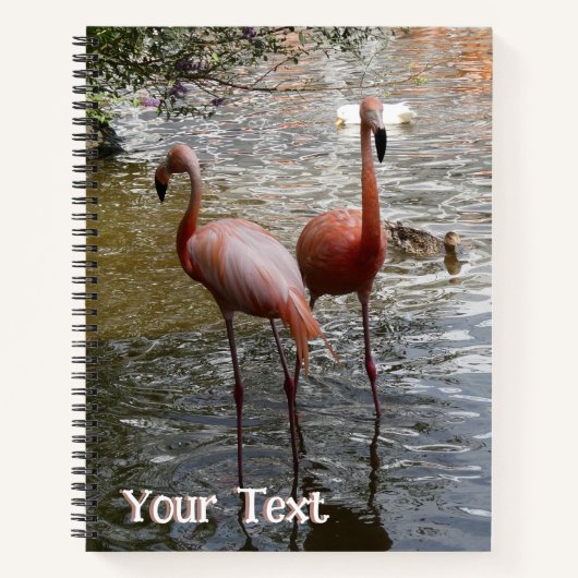 Tropische Flamingo-Vogelkruste. Textheft Notizblock (Vorderseite)