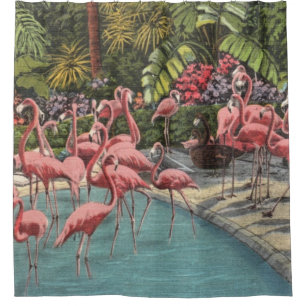Tropische Flamingos Duschvorhang