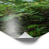 Tropische Flora des belebten Regenwaldes Fotodruck (Ecke)