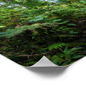 Tropische Flora des belebten Regenwaldes Poster (Ecke)